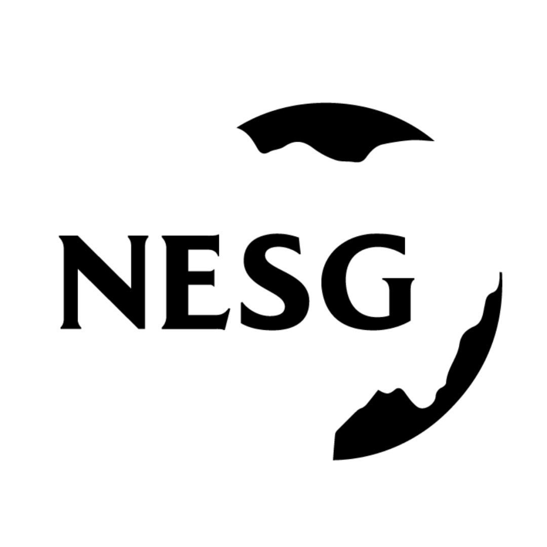 Nigerian Economic Summit Group logo